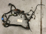 1989 Toyota Supra 7M GE Grey Plug 5 Speed Harness